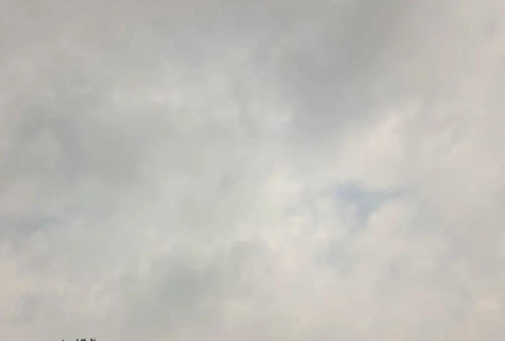 하남 아파트 생활폐기물 견적 현장 사진 5
